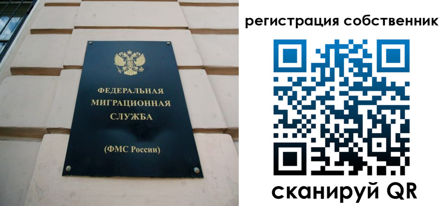 прописка паспорт в Димитровграде
